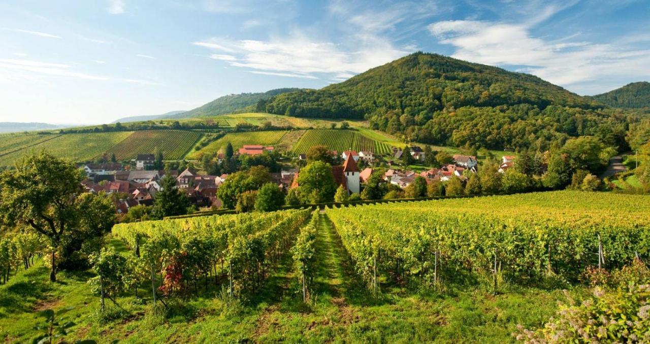 Lauras Weinherberge Leinsweiler Buitenkant foto